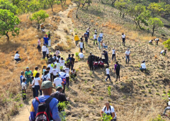 Reforestan el Parque Nacional Henri Pittier en Diego Ibarra