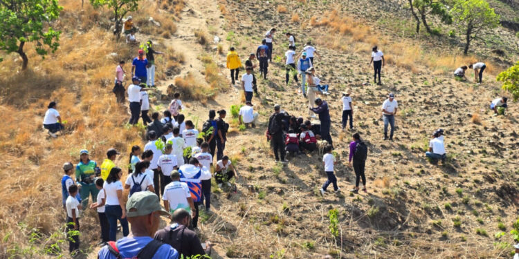 Reforestan el Parque Nacional Henri Pittier en Diego Ibarra