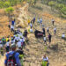 Reforestan el Parque Nacional Henri Pittier en Diego Ibarra