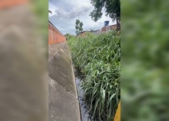 Solicitan limpieza inmediata del caño La Montañita en Paso Real