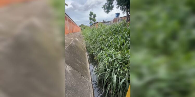 Solicitan limpieza inmediata del caño La Montañita en Paso Real