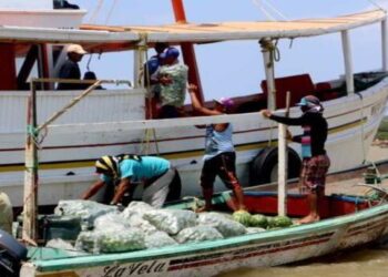 Reanudación de relaciones comerciales con Aruba favorecen economía en Falcón