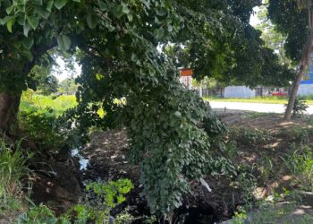 Vecinos de la Vivienda Popular Los Guayos exigen limpieza de caño