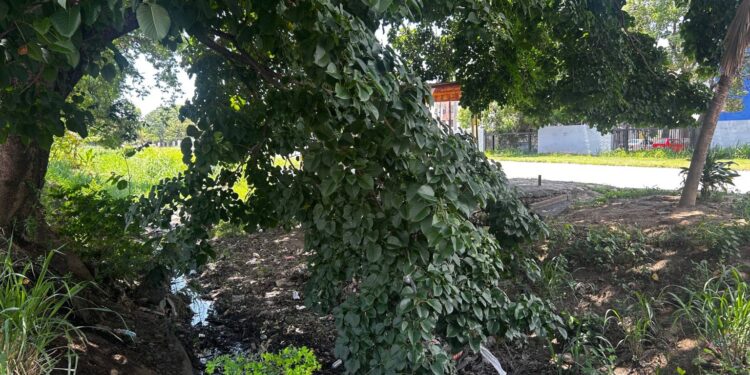 Vecinos de la Vivienda Popular Los Guayos exigen limpieza de caño