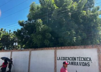 Árbol de gran magnitud amenaza el tendido eléctrico en Bucaral I