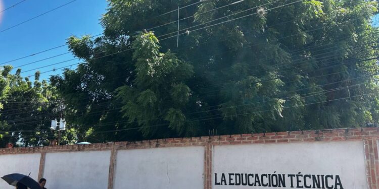 Árbol de gran magnitud amenaza el tendido eléctrico en Bucaral I