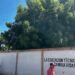 Árbol de gran magnitud amenaza el tendido eléctrico en Bucaral I