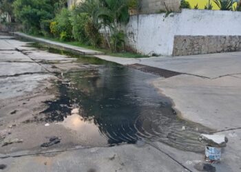 Habitantes de la Avenida Universidad denuncian colapso de aguas servidas