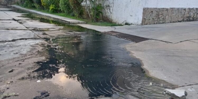 Habitantes de la Avenida Universidad denuncian colapso de aguas servidas