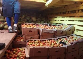 Más de 7 mil toneladas de alimentos han sido exportados a las islas ABC