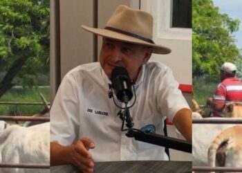 Sector ganadero requiere inversión y seguridad para mejorar productividad