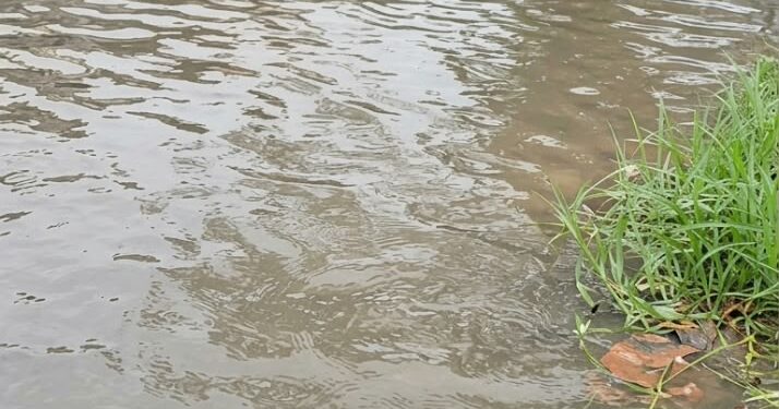 Vecinos de Campo Solo y Los Jarales en San Diego denuncian colapso de drenajes tras lluvias