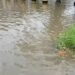 Vecinos de Campo Solo y Los Jarales en San Diego denuncian colapso de drenajes tras lluvias