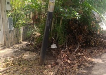 Falla y deterioro de poste mantienen sin servicio eléctrico a vecinos en Los Caobos