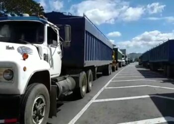 Hasta 20 horas en filas pierden transportistas de carga