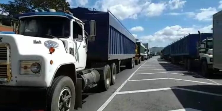 Hasta 20 horas en filas pierden transportistas de carga