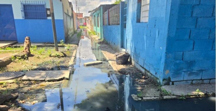 En el sector 2 de Las Agüitas denuncian colapso de cloacas